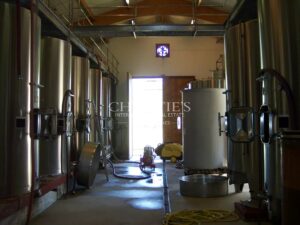 Terroir très qualitatif, Agriculture Biologique, 8 ha de vigne, 2 maisons, chai