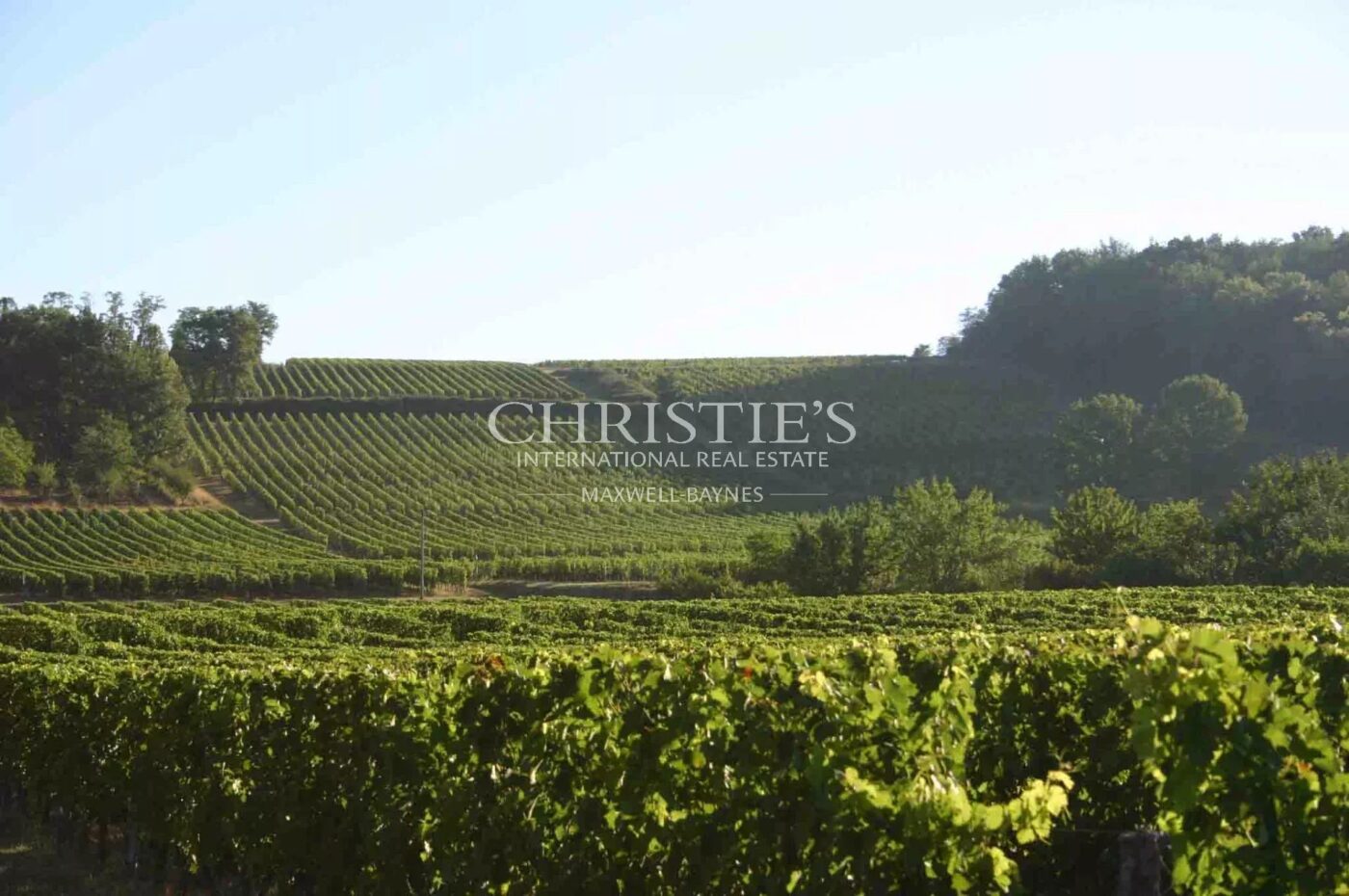 Terroir très qualitatif, Agriculture Biologique, 8 ha de vigne, 2 maisons, chai