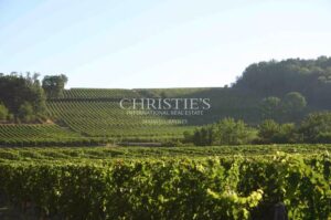 Terroir très qualitatif, Agriculture Biologique, 8 ha de vigne, 2 maisons, chai