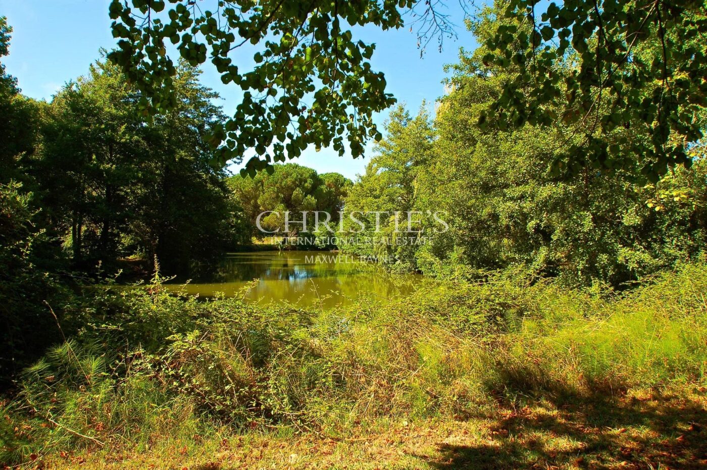 Chateau de caractère à rénover - Vignoble - Dépendances - Jolie parc - Calme et discret