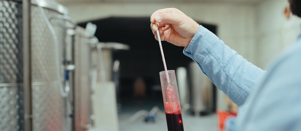 expertise in oenology for wine management