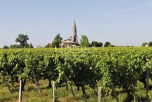 Opportunité rare : 1,15 ha de vignes en AOC Lalande-de-Pomerol