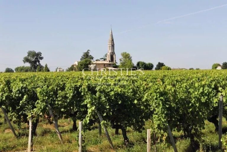 Opportunité rare : 1,15 ha de vignes en AOC Lalande-de-Pomerol