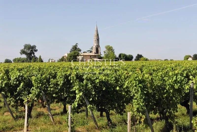 Opportunité rare : 1,15 ha de vignes en AOC Lalande-de-Pomerol