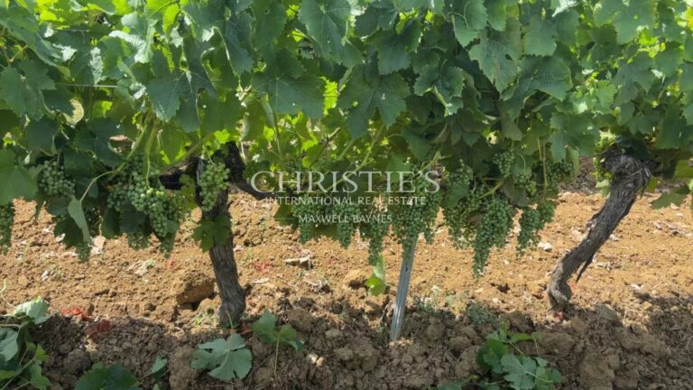 Propriété viticole en AOC Bordeaux et Graves de Vayres – Libournais
