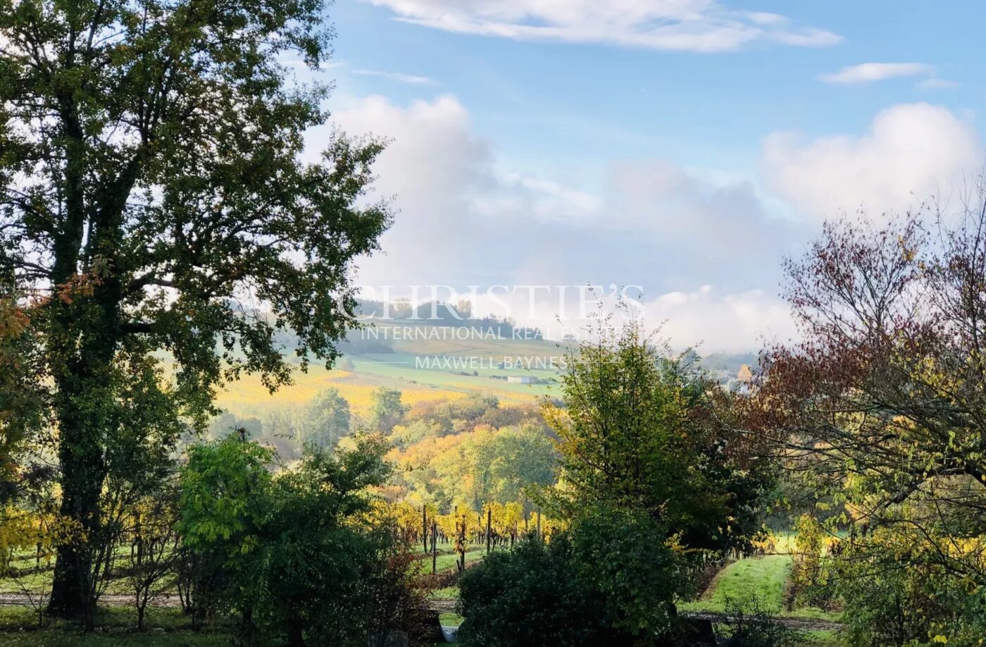 Domaine viticole avec élégant château historique dans le vignoble bordelais avec activité de chambres d'hôtes