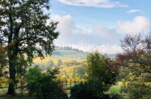 Domaine viticole avec élégant château historique dans le vignoble bordelais avec activité de chambres d'hôtes