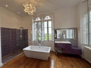 Domaine viticole avec élégant château historique dans le vignoble bordelais avec activité de chambres d'hôtes