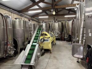 Domaine viticole avec élégant château historique dans le vignoble bordelais avec activité de chambres d'hôtes