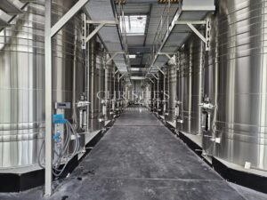 Exceptionnelle propriété viticole dans la région de Cognac