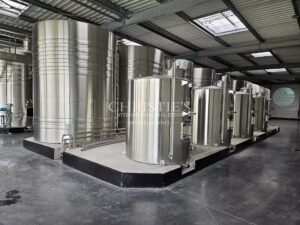 Exceptionnelle propriété viticole dans la région de Cognac