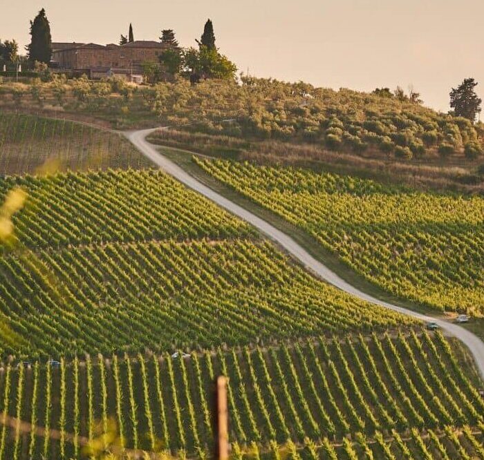 Quels sont les cépages de Bordeaux ?