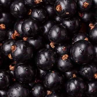 Blackcurrent aromas in wine
