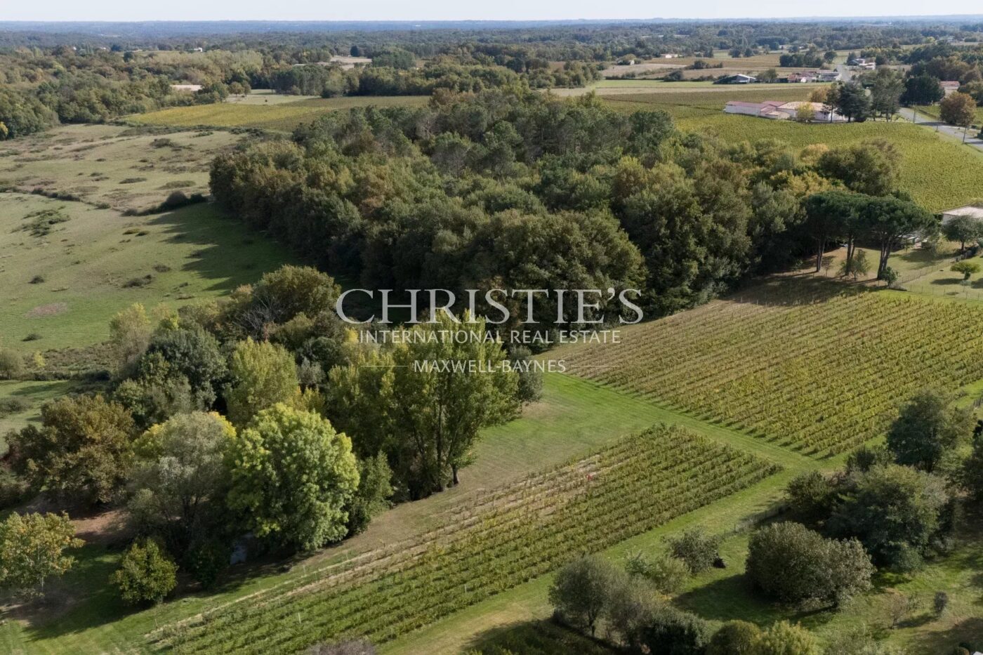 Exclusivité - Propriété de charme composée d'un manoir, longère, salle de cinéma, grange, petit vignoble...