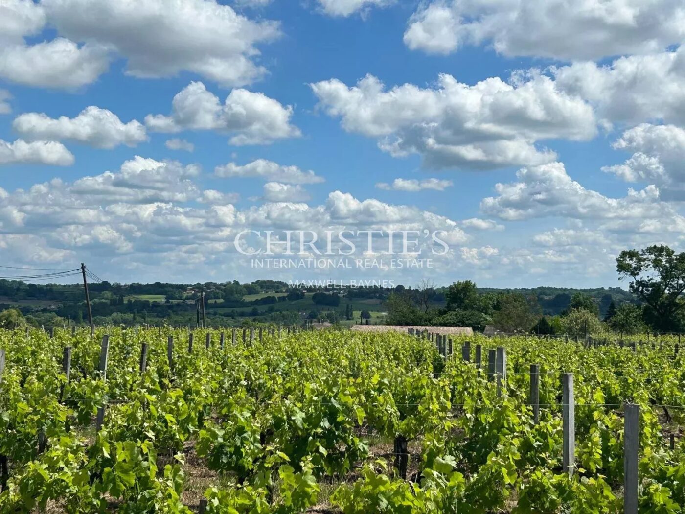 Propriété viticole à taille humaine, réseau de commercialisation, top terroir
