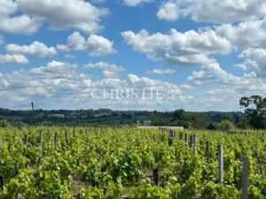 Propriété viticole à taille humaine, réseau de commercialisation, top terroir