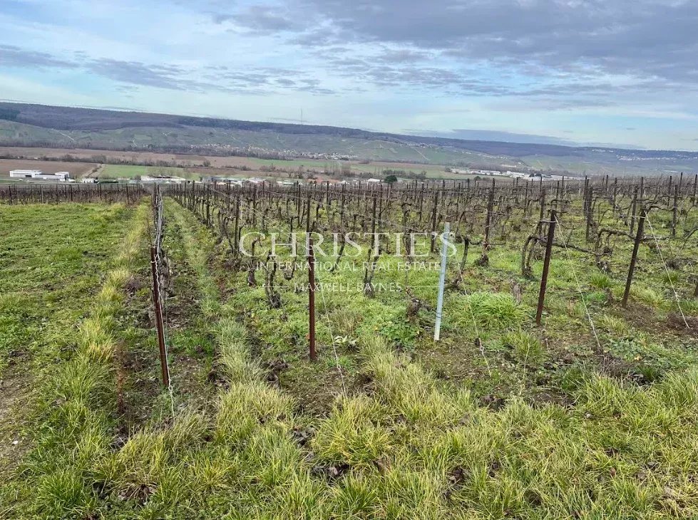 Opportunité unique d'investir en Champagne