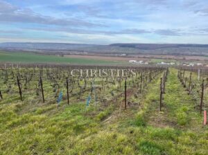 Opportunité unique d'investir en Champagne