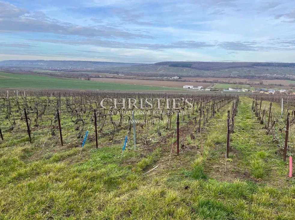Opportunité unique d'investir en Champagne