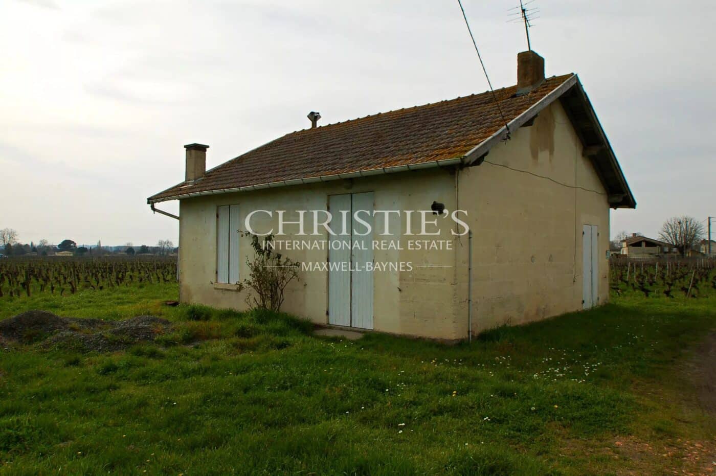 Propriété viticole de 5.5 hectares sur Saint-Émilion - Voisin de Grand Cru Classé