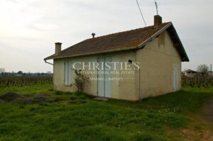 Propriété viticole de 5.5 hectares sur Saint-Émilion - Voisin de Grand Cru Classé