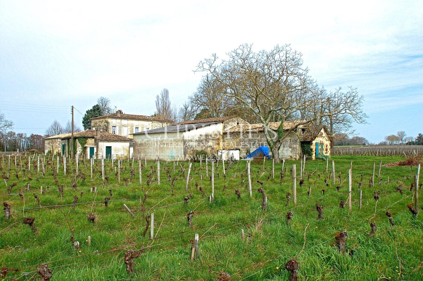 Propriété viticole de 5.5 hectares sur Saint-Émilion - Voisin de Grand Cru Classé
