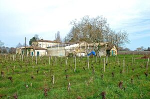 Propriété viticole de 5.5 hectares sur Saint-Émilion - Voisin de Grand Cru Classé