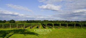 Domaine viticole & maison d’Armagnac – Propriété d’exception au cœur du Gers