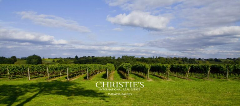 Domaine viticole & maison d’Armagnac – Propriété d’exception au cœur du Gers