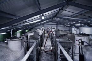 Domaine viticole & maison d’Armagnac – Propriété d’exception au cœur du Gers