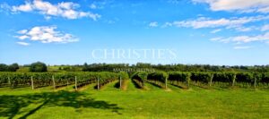 Propriété d'exception au coeur du Gers - Vignoble et maison d'Armagnac