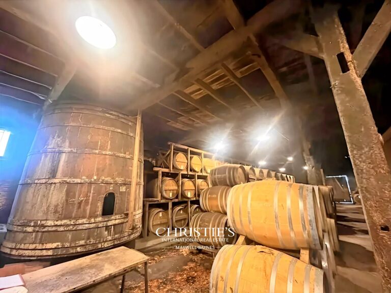 Propriété d'exception au coeur du Gers - Vignoble et maison d'Armagnac