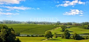 Propriété d'exception au coeur du Gers - Vignoble et maison d'Armagnac