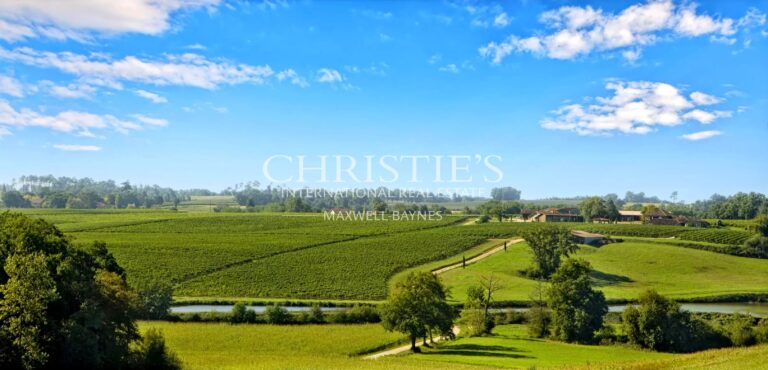 Propriété d'exception au coeur du Gers - Vignoble et maison d'Armagnac