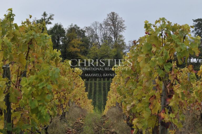 Magnifique Domaine d’agrément avec activité touristique et viticole bien établie dans la région de Saint-Émilion