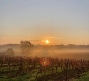Propriété viticole d'agrément - Œnotourisme - proche Bordeaux