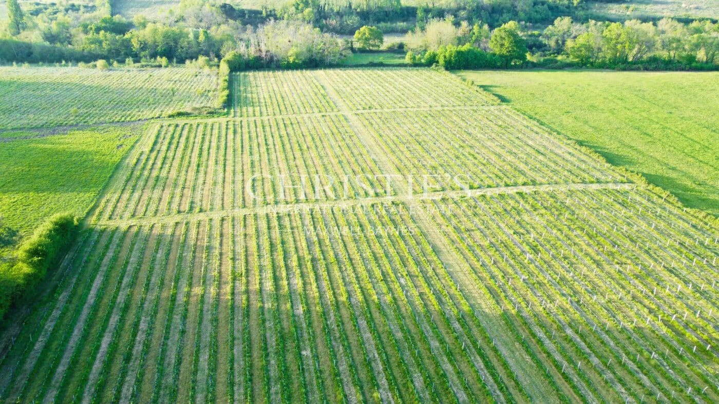 Propriété viticole d'agrément - Œnotourisme - proche Bordeaux