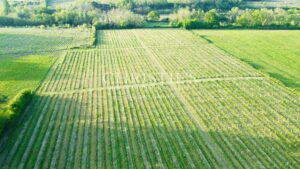 Propriété viticole d'agrément - Œnotourisme - proche Bordeaux