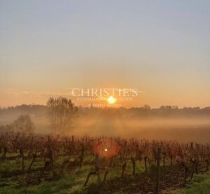 Propriété viticole d'agrément - Œnotourisme - proche Bordeaux