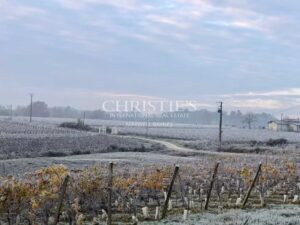 Propriété viticole d'agrément - Œnotourisme - proche Bordeaux