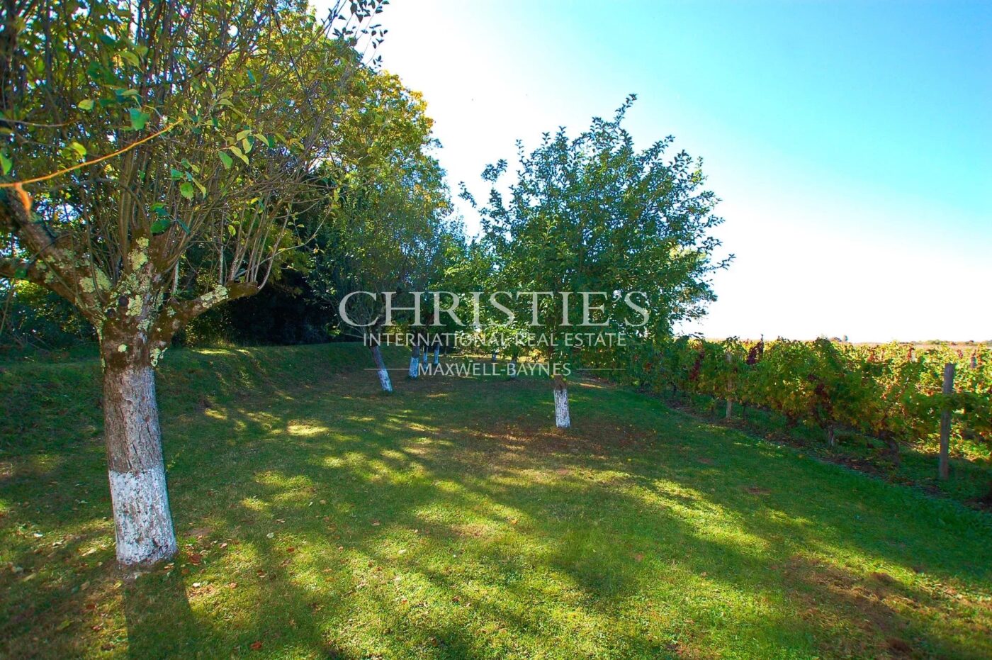 Domaine viticole d'agrément de charme avec vue sur la Dordogne