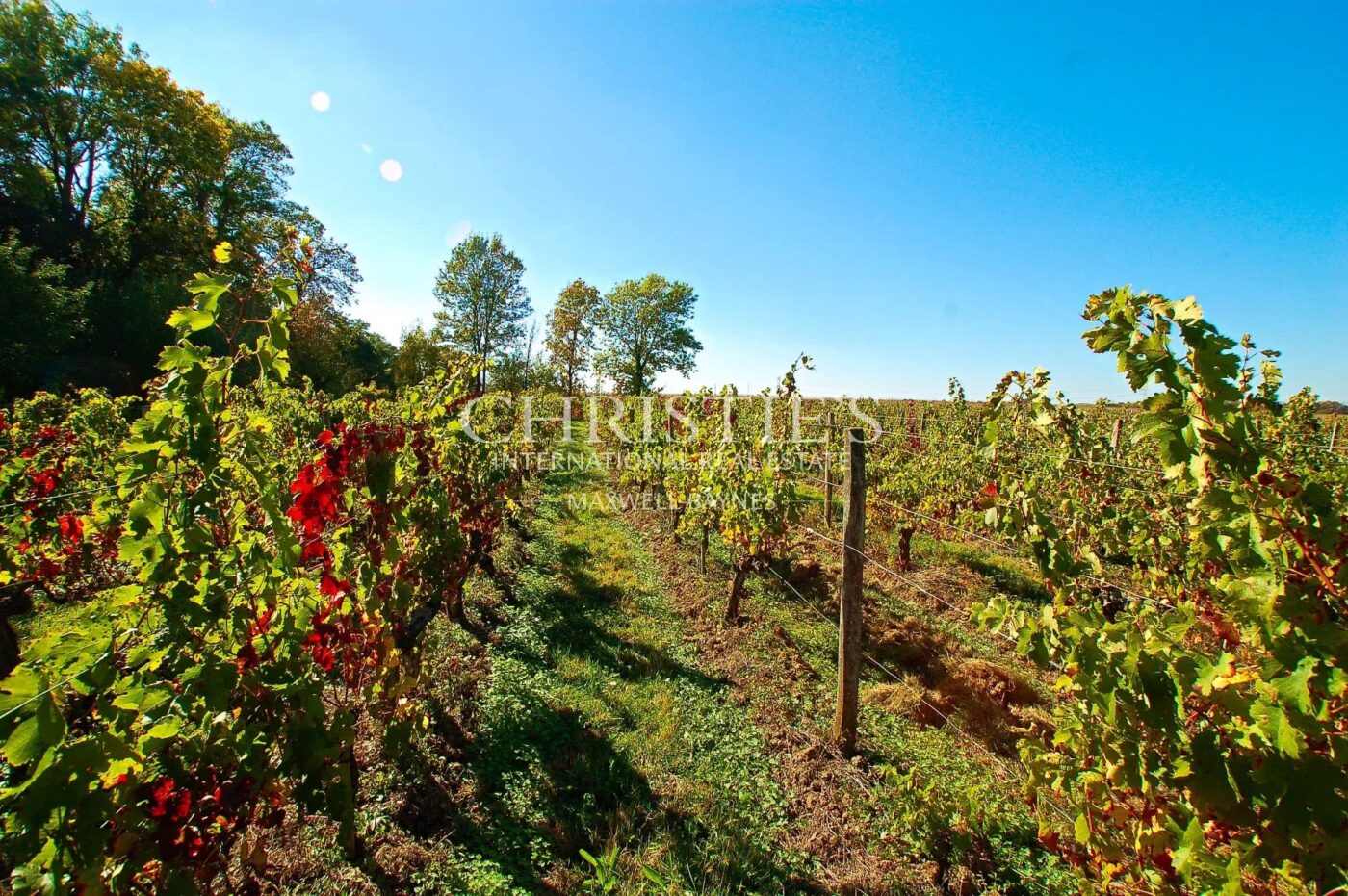 Domaine viticole d'agrément de charme avec vue sur la Dordogne