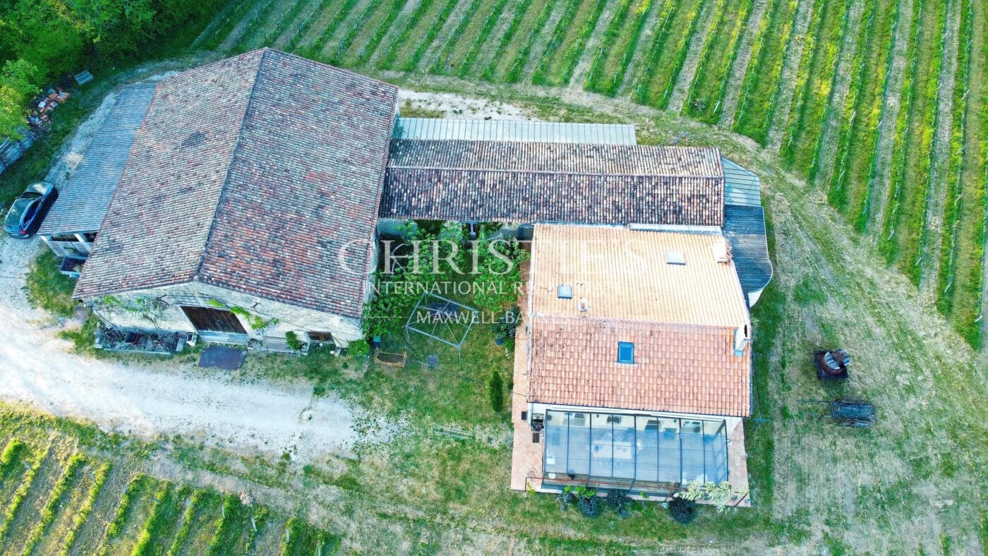 Hobby vineyard estate - Wine tourism - near Bordeaux