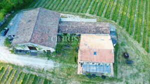 Hobby vineyard estate - Wine tourism - near Bordeaux