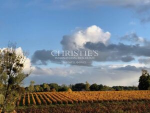 Hobby vineyard estate - Wine tourism - near Bordeaux