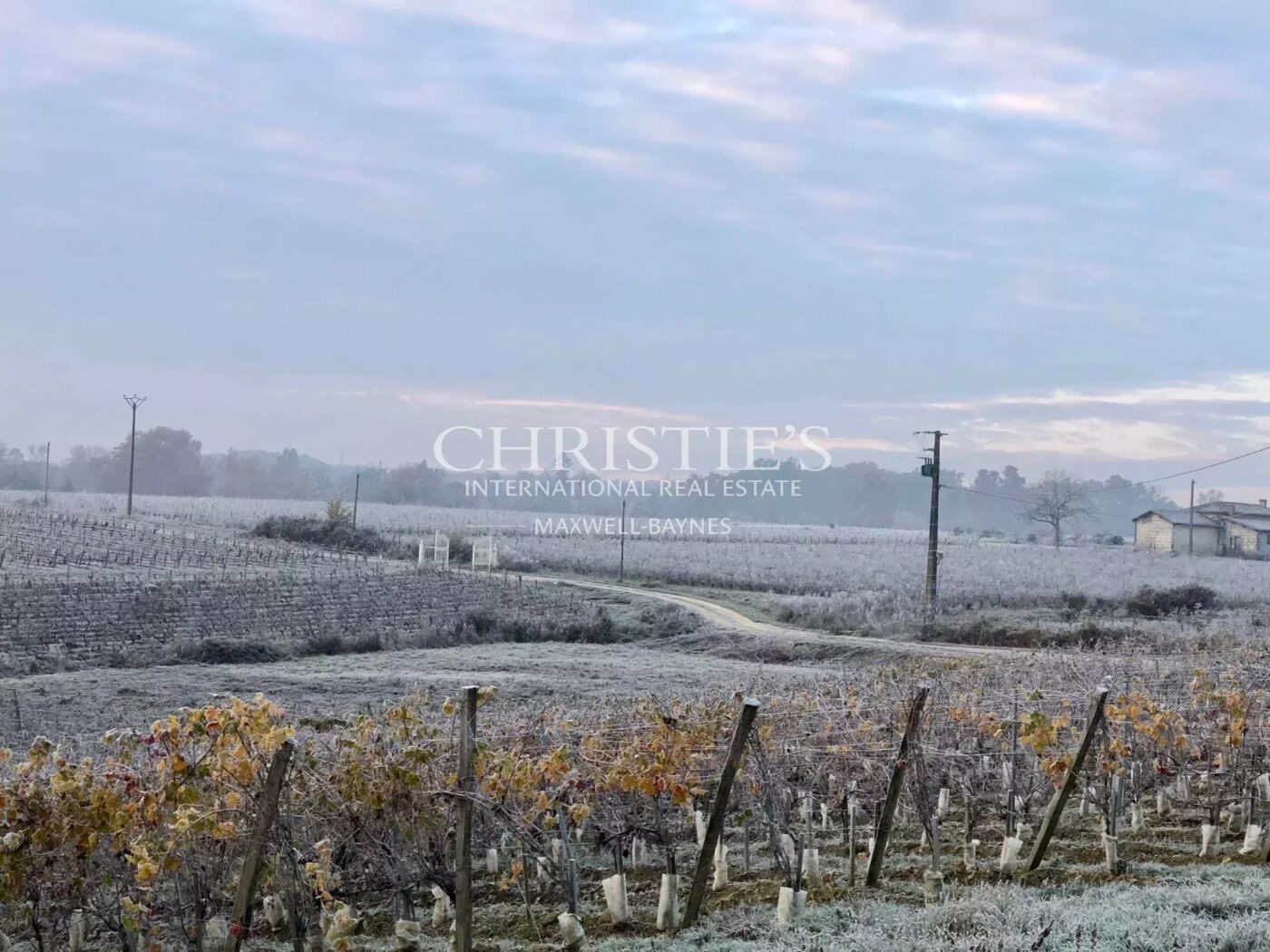 Hobby vineyard estate - Wine tourism - near Bordeaux