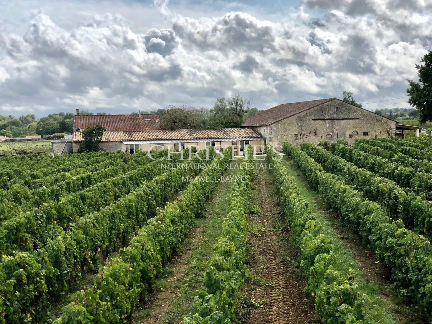 Hobby vineyard estate - Wine tourism - near Bordeaux