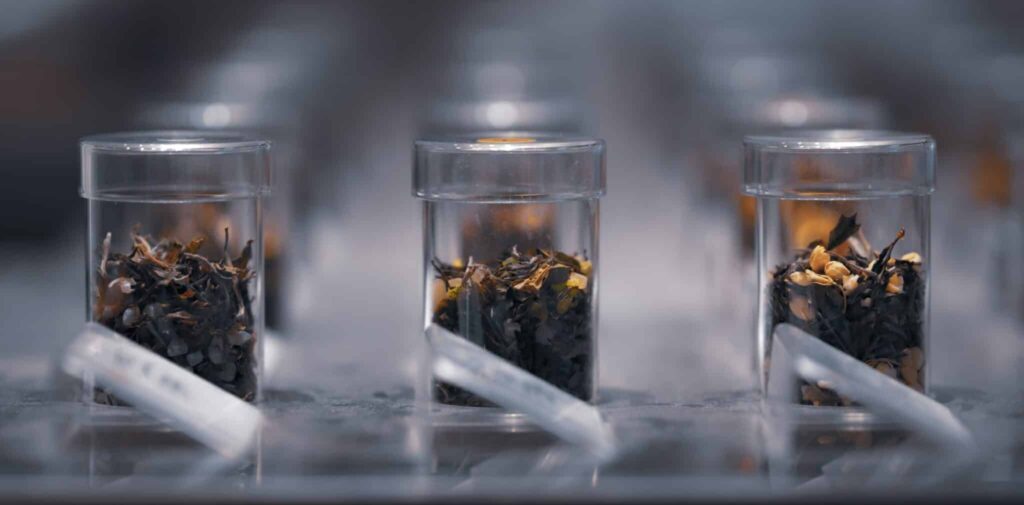 Série de béchers en verre contenant divers ingrédients naturels (épices, fruits, herbes) illustrant les arômes et les senteurs d'un vin lors d'un atelier d'œnologie.