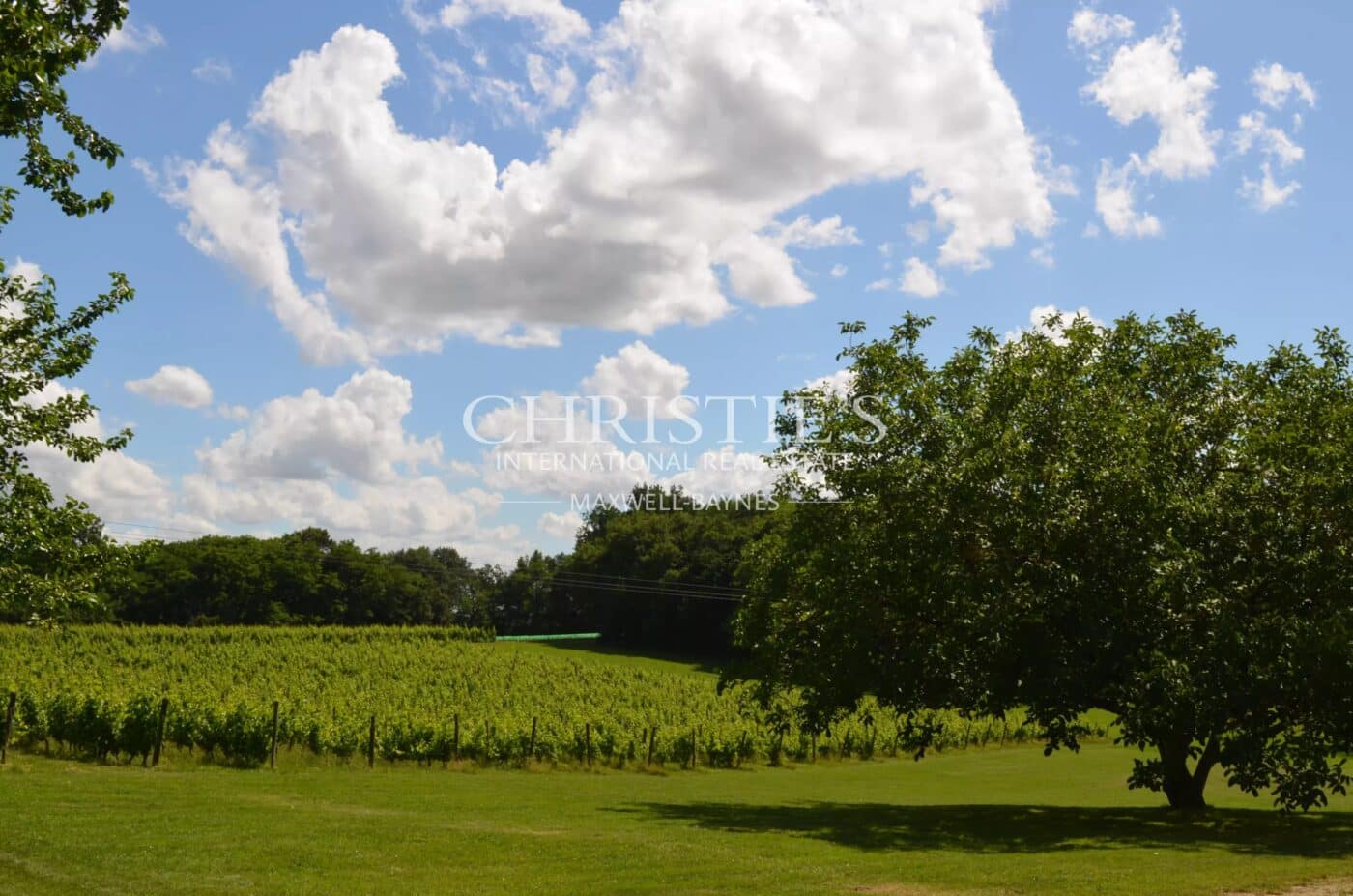 Très beau domaine viticole en AOC Montravel, Haut-Montravel et Côtes de Bergerac - Biologique