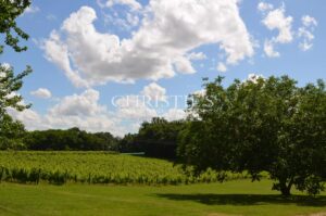 Très beau domaine viticole en AOC Montravel, Haut-Montravel et Côtes de Bergerac - Biologique